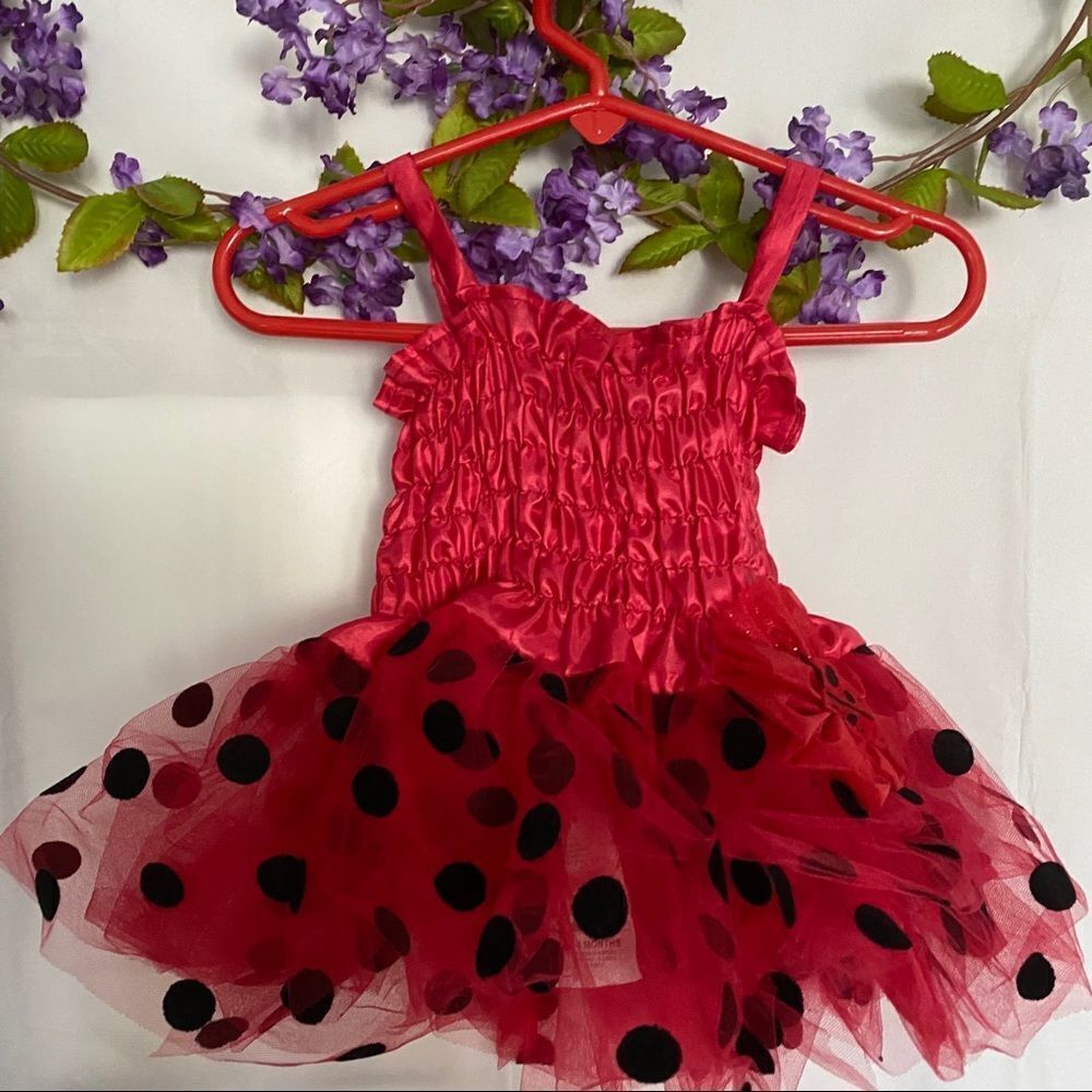 Rubies Lady bug tutu - Picture 5 of 8